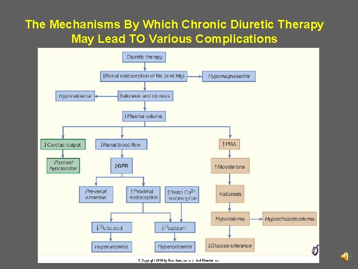 The Mechanisms By Which Chronic Diuretic Therapy May Lead TO Various Complications 