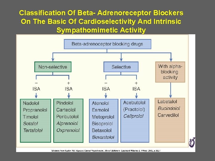 Classification Of Beta- Adrenoreceptor Blockers On The Basic Of Cardioselectivity And Intrinsic Sympathomimetic Activity