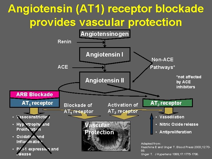 Angiotensin (AT 1) receptor blockade provides vascular protection Angiotensinogen Renin Angiotensin I ACE Non-ACE
