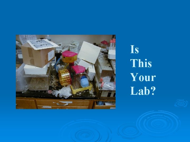 Is This Your Lab? 