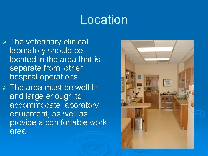 Location The veterinary clinical laboratory should be located in the area that is separate