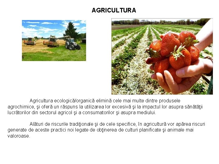 AGRICULTURA Agricultura ecologică/organică elimină cele mai multe dintre produsele agrochimice, şi oferă un răspuns