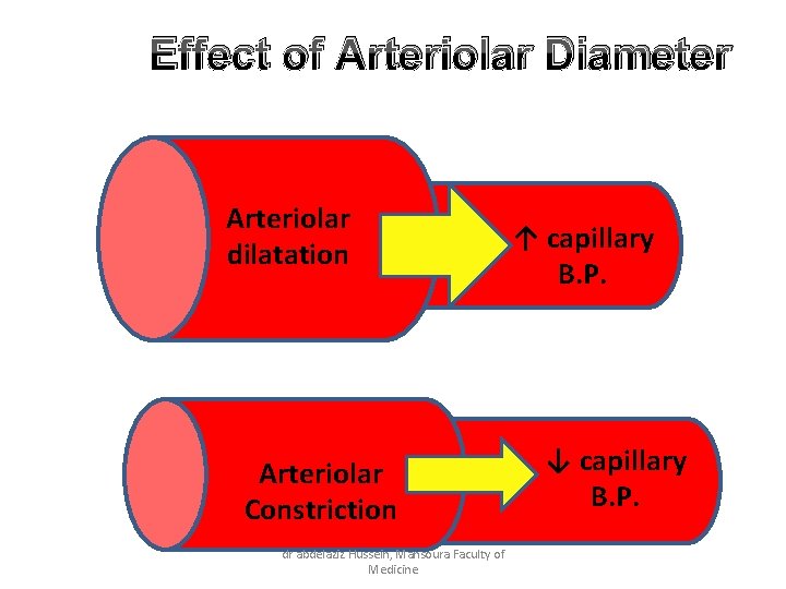 Effect of Arteriolar Diameter Arteriolar dilatation Arteriolar Constriction dr abdelaziz Hussein, Mansoura Faculty of