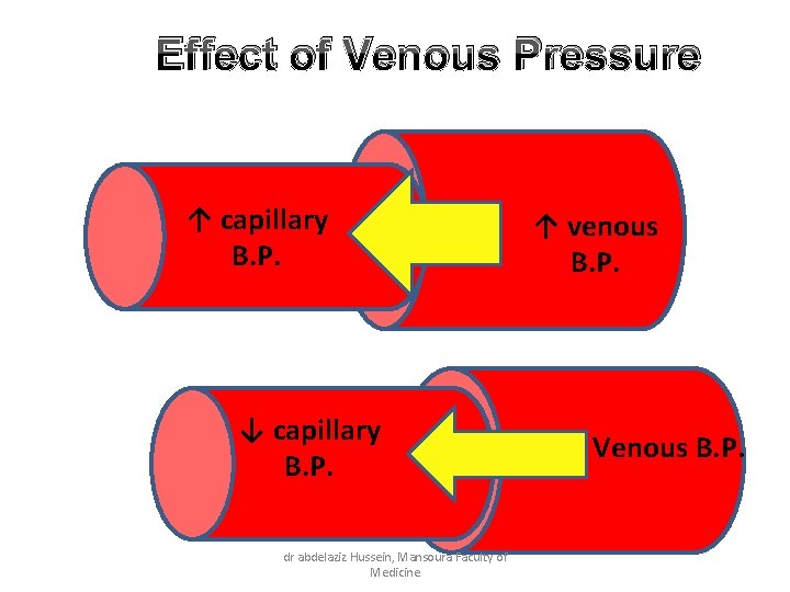 Effect of Venous Pressure ↑ capillary B. P. ↓ capillary B. P. dr abdelaziz