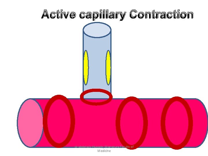 Active capillary Contraction dr abdelaziz Hussein, Mansoura Faculty of Medicine 