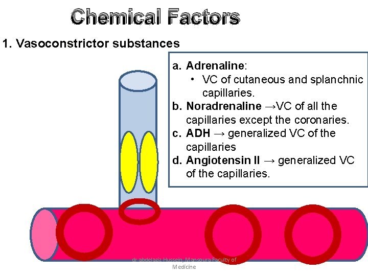 Chemical Factors 1. Vasoconstrictor substances a. Adrenaline: • VC of cutaneous and splanchnic capillaries.