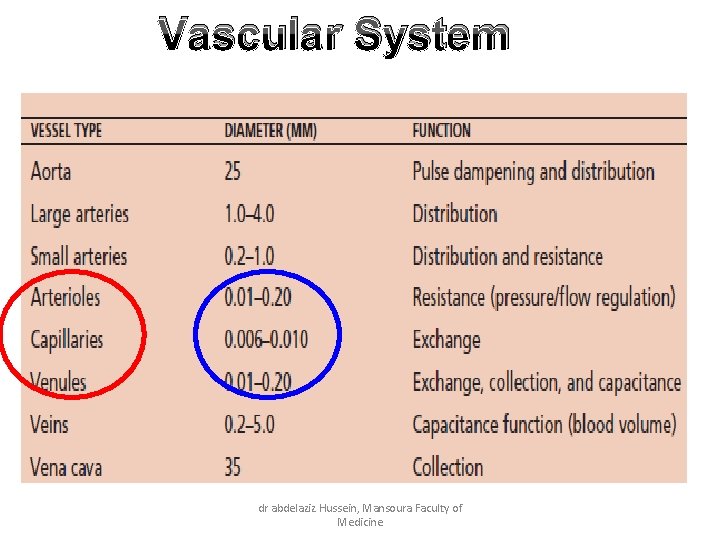 Vascular System dr abdelaziz Hussein, Mansoura Faculty of Medicine 