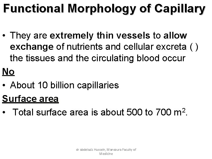 Functional Morphology of Capillary • They are extremely thin vessels to allow exchange of