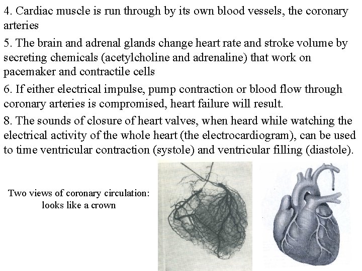 4. Cardiac muscle is run through by its own blood vessels, the coronary arteries