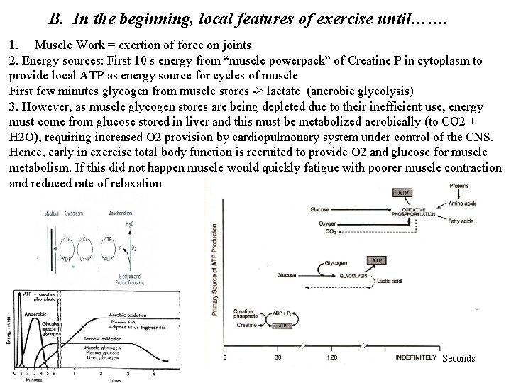 B. In the beginning, local features of exercise until……. 1. Muscle Work = exertion