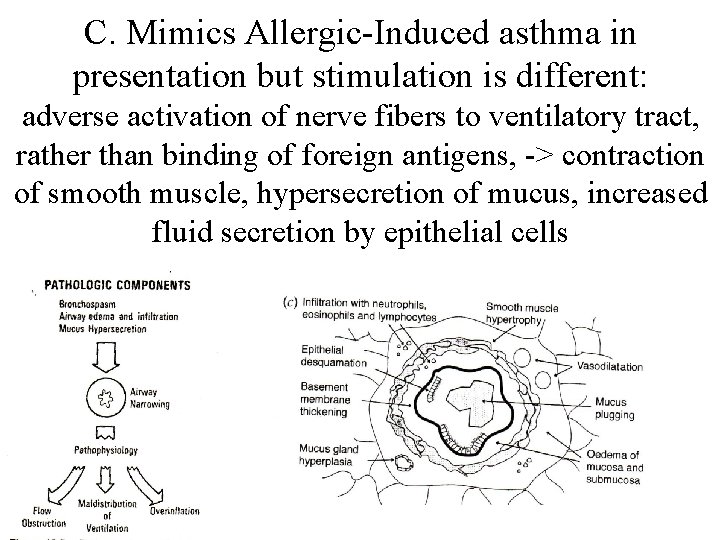 C. Mimics Allergic-Induced asthma in presentation but stimulation is different: adverse activation of nerve