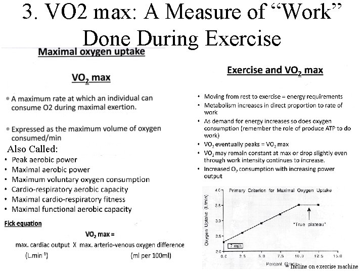 3. VO 2 max: A Measure of “Work” Done During Exercise Also Called: =