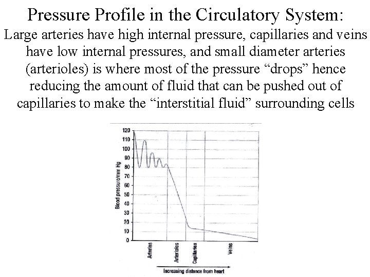 Pressure Profile in the Circulatory System: Large arteries have high internal pressure, capillaries and