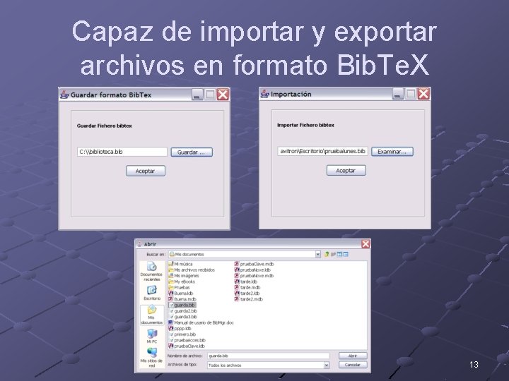 Capaz de importar y exportar archivos en formato Bib. Te. X 13 