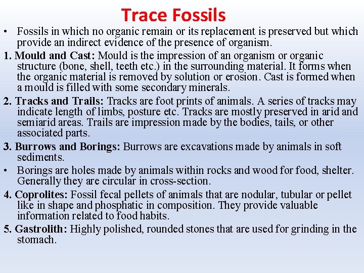 Trace Fossils • Fossils in which no organic remain or its replacement is preserved