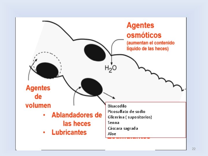 Bisacodilo Picosulfato de sodio Glicerina ( supositorios) Senna Cáscara sagrada Aloe 22 
