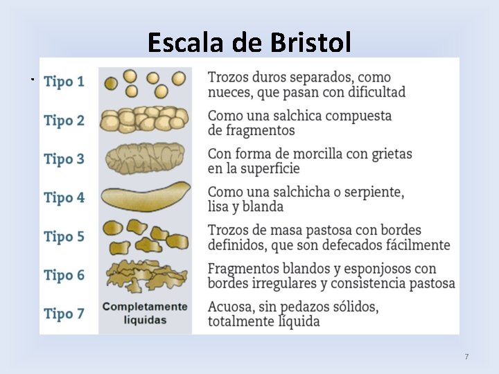 . Escala de Bristol 7 