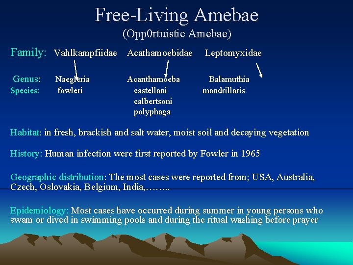 Free-Living Amebae (Opp 0 rtuistic Amebae) Family: Vahlkampfiidae Acathamoebidae Genus: Species: Naegleria fowleri Acanthamoeba