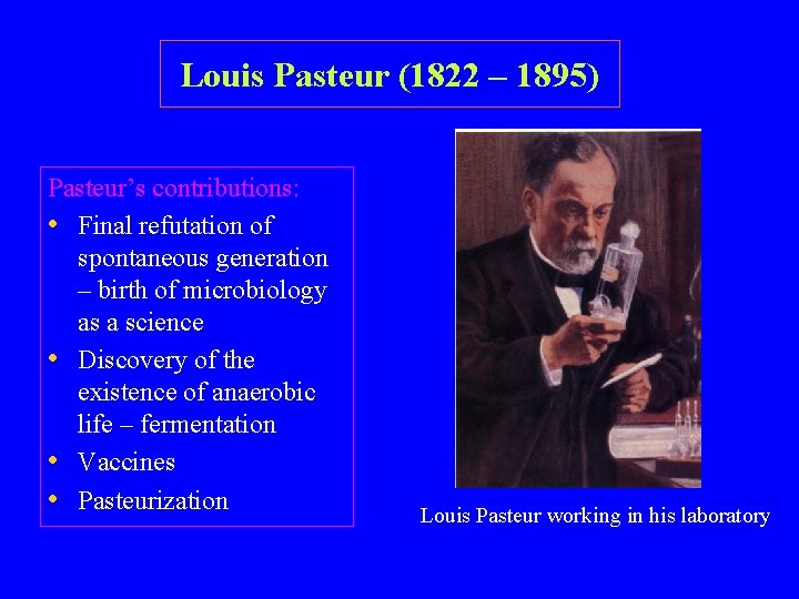Louis Pasteur (1822 – 1895) Pasteur’s contributions: • Final refutation of spontaneous generation –