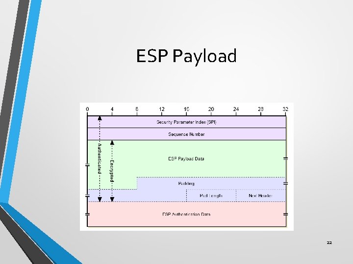 ESP Payload 22 