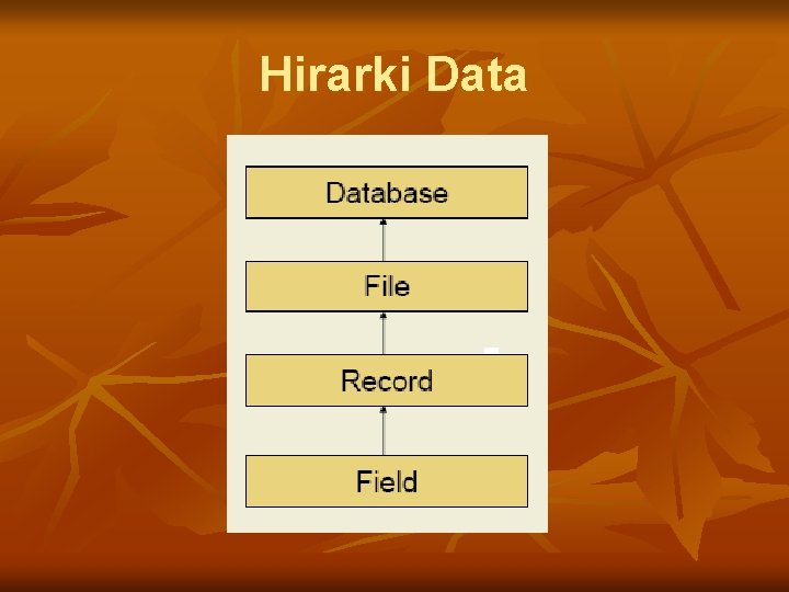 Hirarki Data 