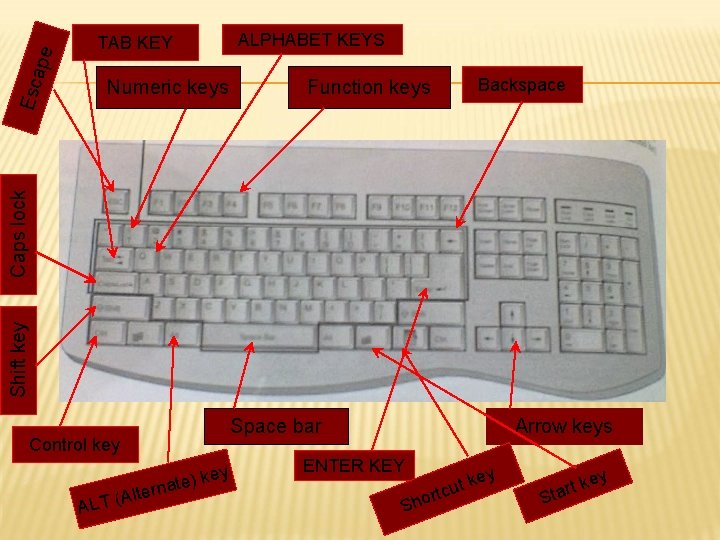 Numeric keys ALPHABET KEYS Function keys Backspace Shift key Caps lock Esc ape TAB