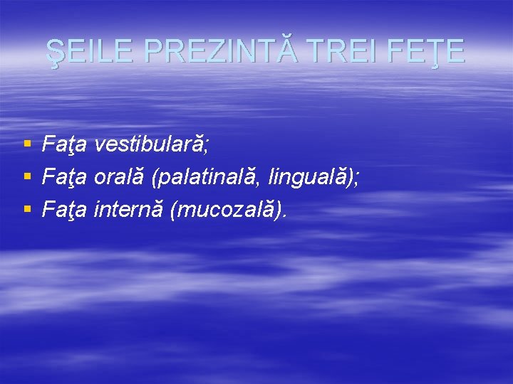 ŞEILE PREZINTĂ TREI FEŢE § Faţa vestibulară; § Faţa orală (palatinală, linguală); § Faţa