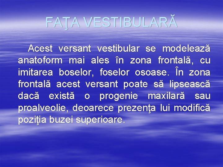 FAŢA VESTIBULARĂ Acest versant vestibular se modelează anatoform mai ales în zona frontală, cu