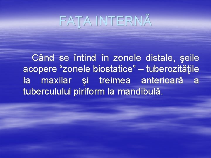 FAŢA INTERNĂ Când se întind în zonele distale, şeile acopere “zonele biostatice” – tuberozităţile