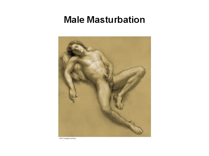 Male Masturbation 