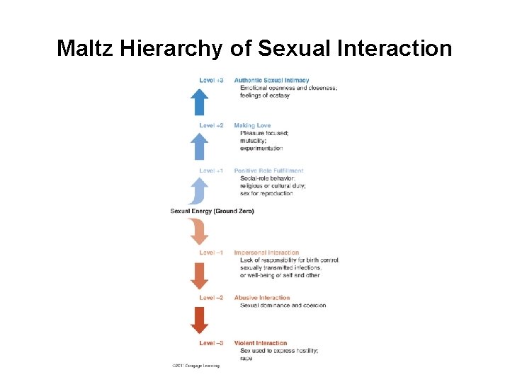 Maltz Hierarchy of Sexual Interaction 