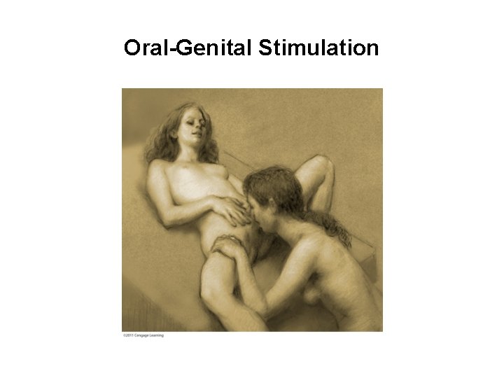 Oral-Genital Stimulation 