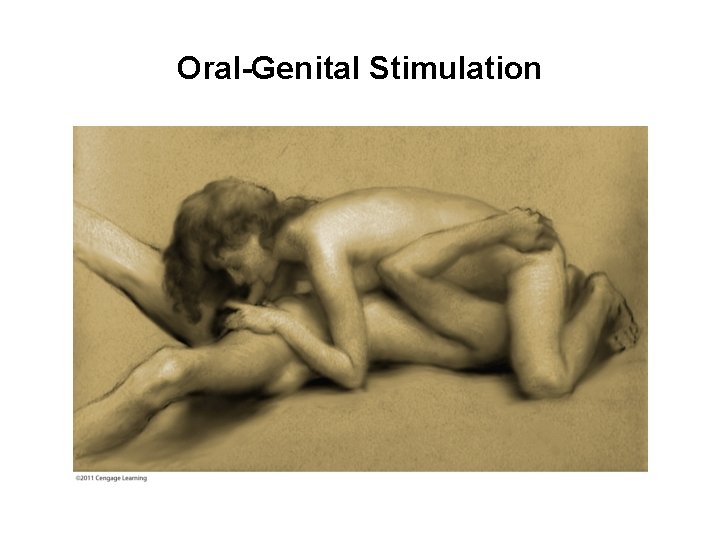 Oral-Genital Stimulation 