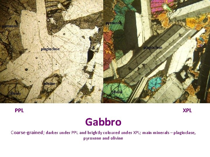 pyroxene plagioclase olivine PPL XPL Gabbro Coarse-grained; darker under PPL and brightly coloured under