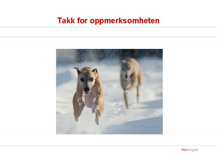 Takk for oppmerksomheten 