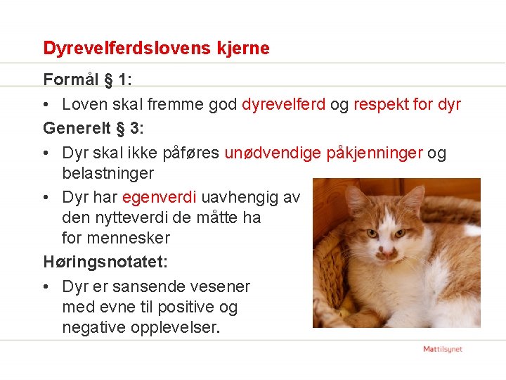 Dyrevelferdslovens kjerne Formål § 1: • Loven skal fremme god dyrevelferd og respekt for