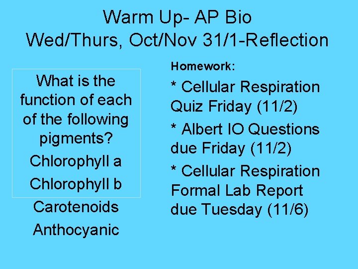 Warm Up- AP Bio Wed/Thurs, Oct/Nov 31/1 -Reflection What is the function of each
