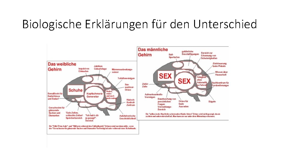 Biologische Erklärungen für den Unterschied 