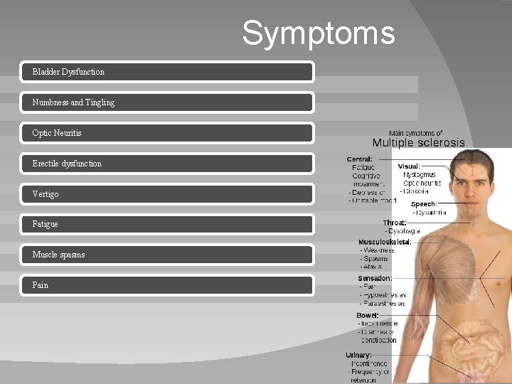Symptoms Bladder Dysfunction Numbness and Tingling Optic Neuritis Erectile dysfunction Vertigo Fatigue Muscle spasms