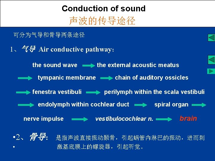 Conduction of sound 声波的传导途径 可分为气导和骨导两条途径 1、气导 Air conductive pathway： the sound wave the external