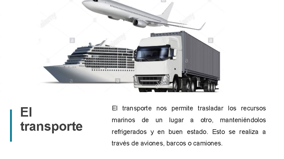 El transporte nos permite trasladar los recursos marinos de un lugar a otro, manteniéndolos