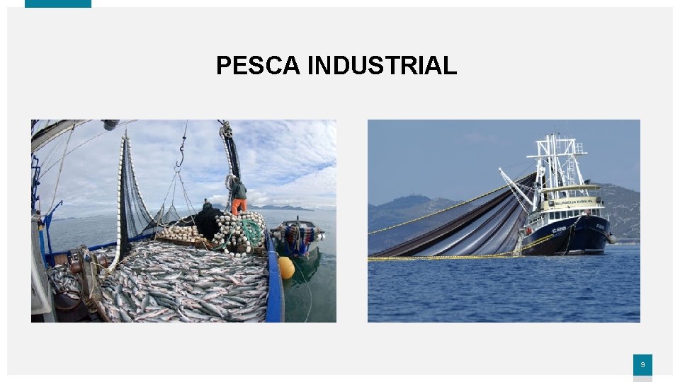 PESCA INDUSTRIAL 9 