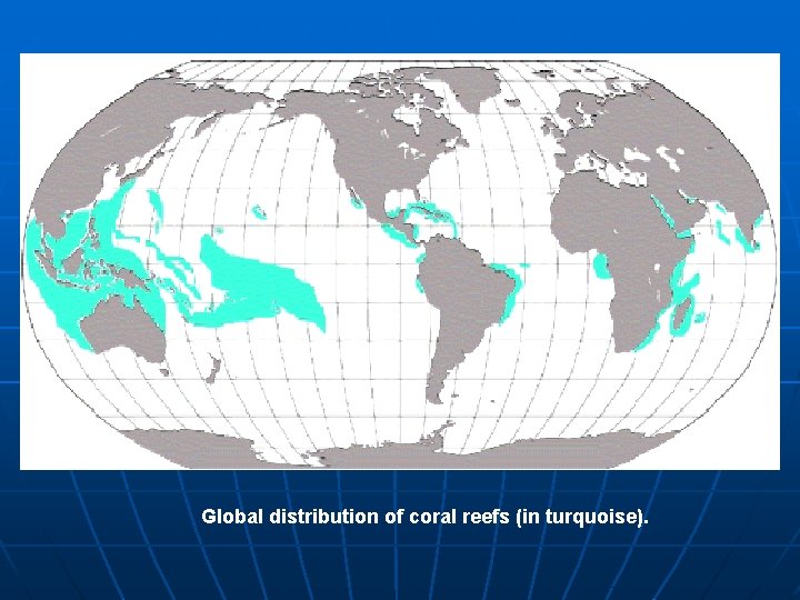 Global distribution of coral reefs (in turquoise). 