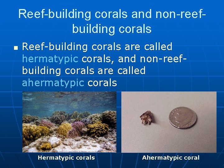 Reef-building corals and non-reefbuilding corals n Reef-building corals are called hermatypic corals, and non-reefbuilding