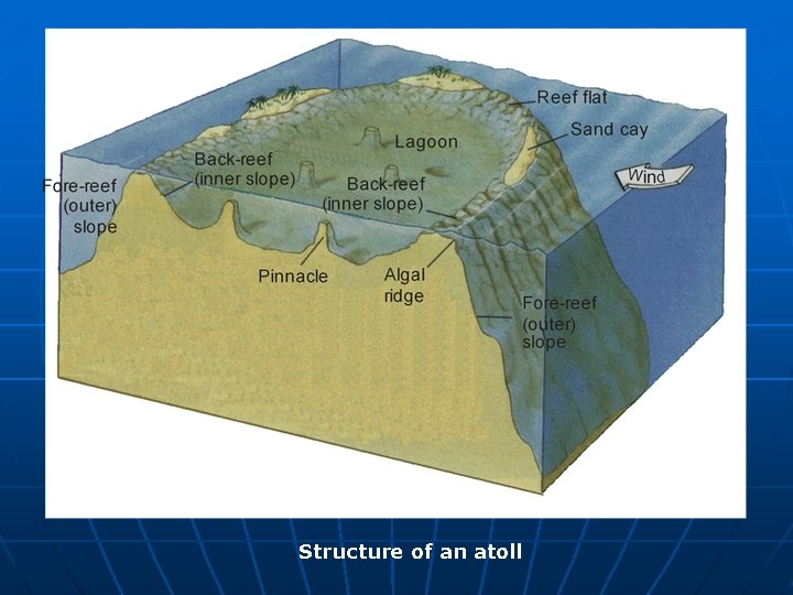 Structure of an atoll 