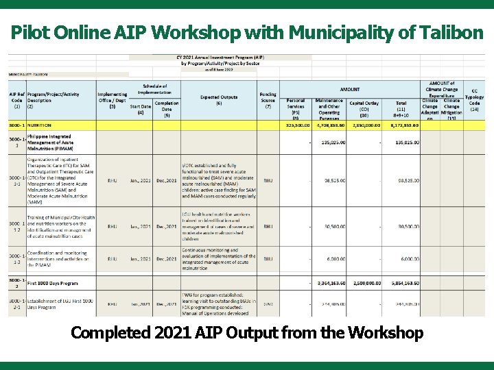 Pilot Online AIP Workshop with Municipality of Talibon Completed 2021 AIP Output from the