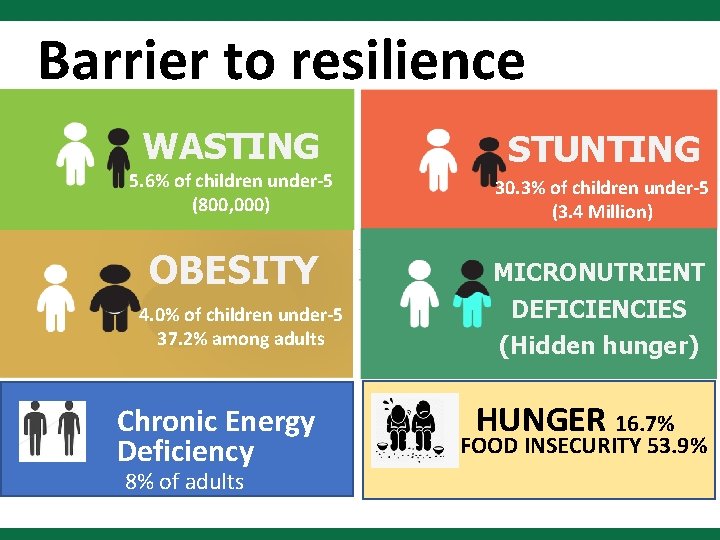 Barrier to resilience WASTING STUNTING 5. 6% of children under-5 (800, 000) 30. 3%