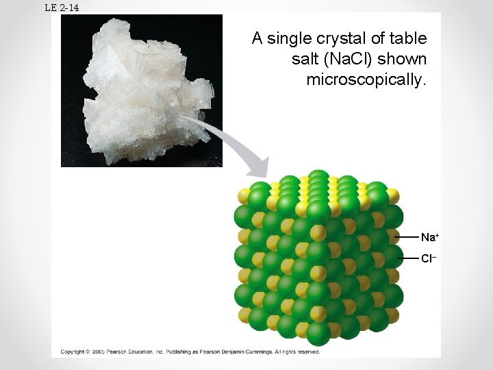 LE 2 -14 A single crystal of table salt (Na. Cl) shown microscopically. Na+