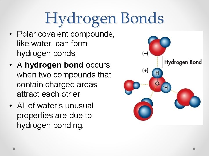 Hydrogen Bonds • Polar covalent compounds, like water, can form hydrogen bonds. • A