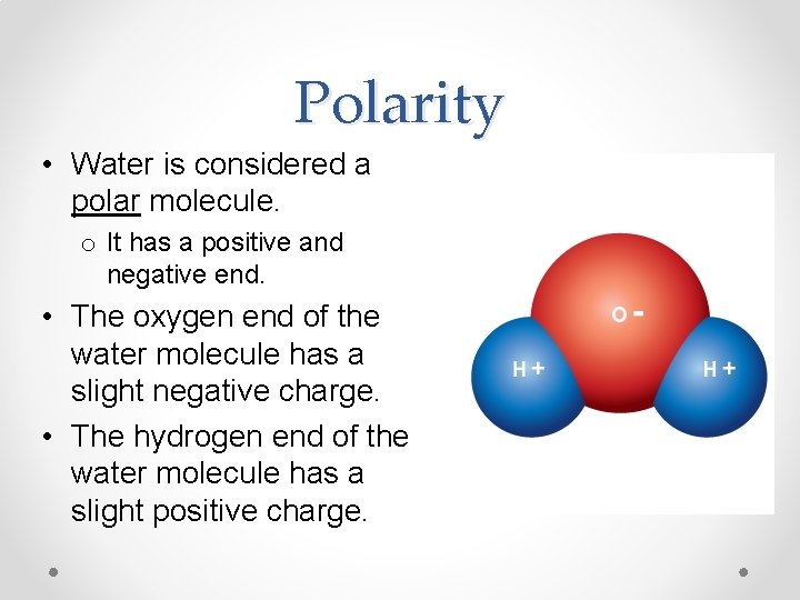 Polarity • Water is considered a polar molecule. o It has a positive and